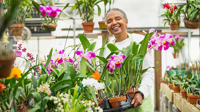 Ile kosztuje założenie porcelanowej korony protetycznej?