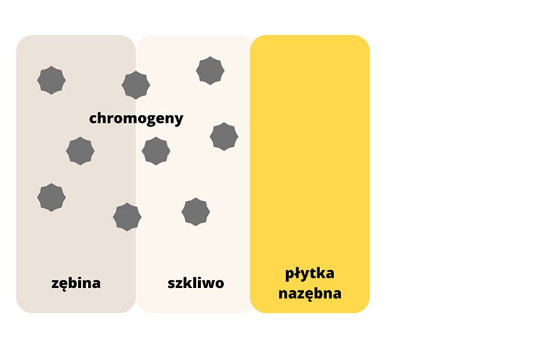 schemat zęba z przebarwieniami