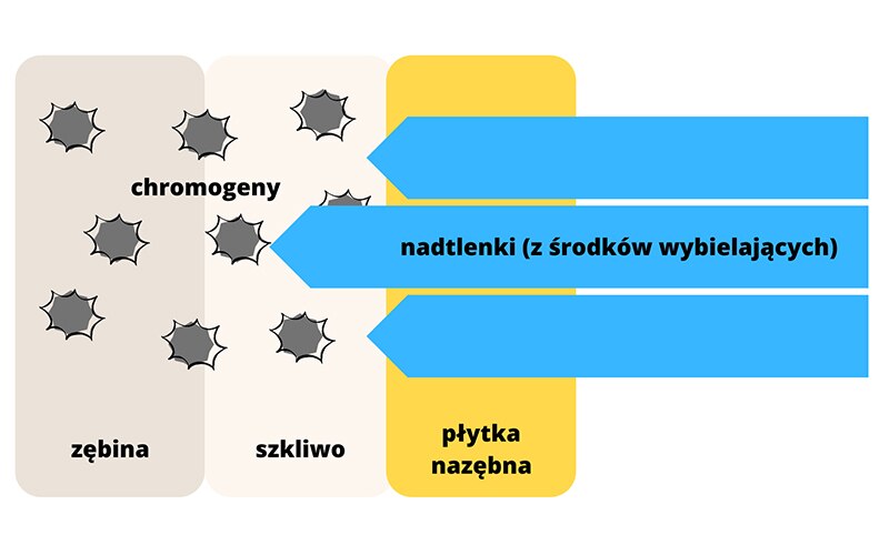 schemat procesu wybielania zęba